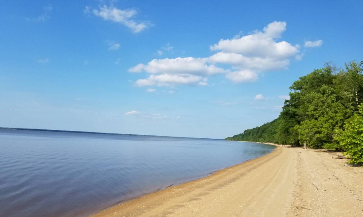 cropped-EO-Beach.jpg