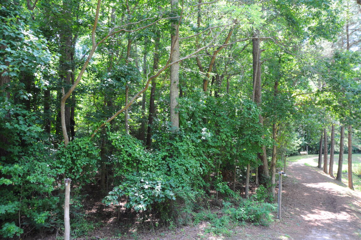 DSC_0075.jpg